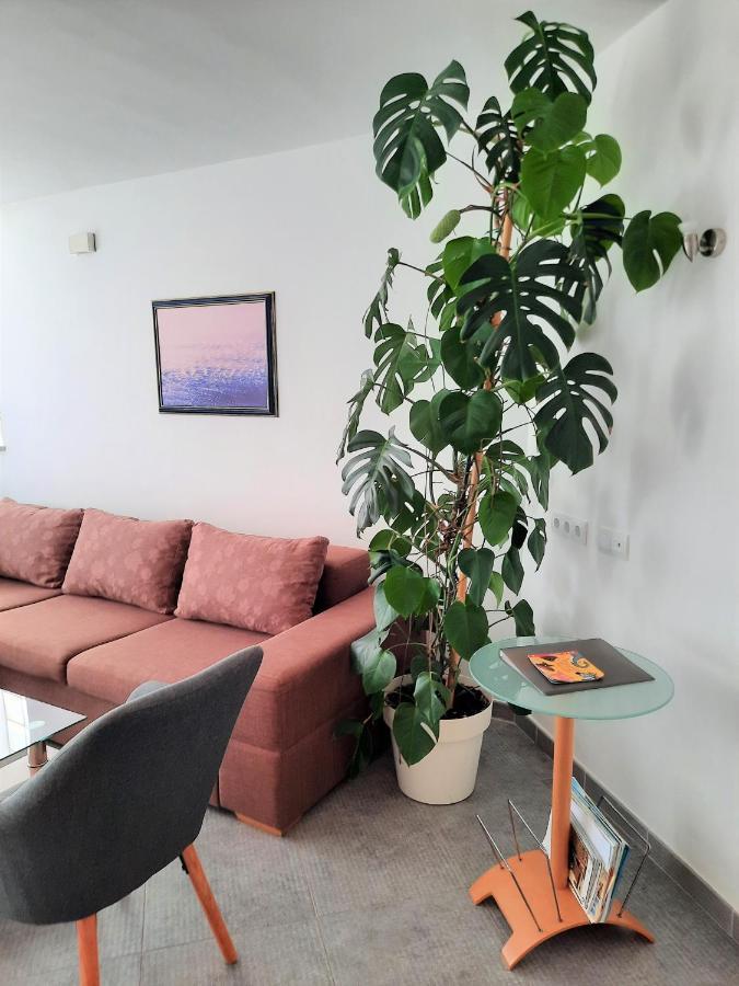 Apartment Mato Barbariga Eksteriør billede